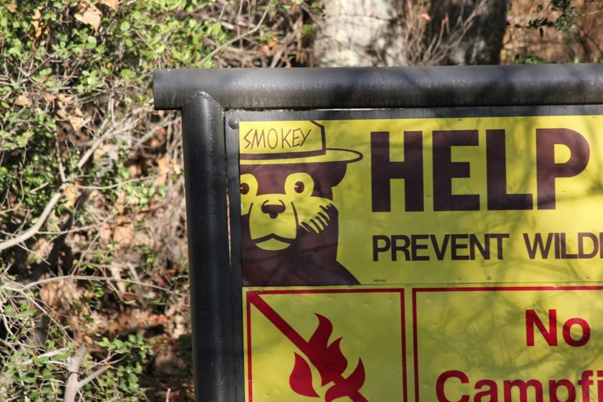 nature safety Hiker in a national park surrounded by wildlife, illustrating the importance of safety in nature.